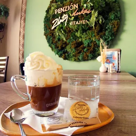 Gasthuis Zlaty Dukat 3*