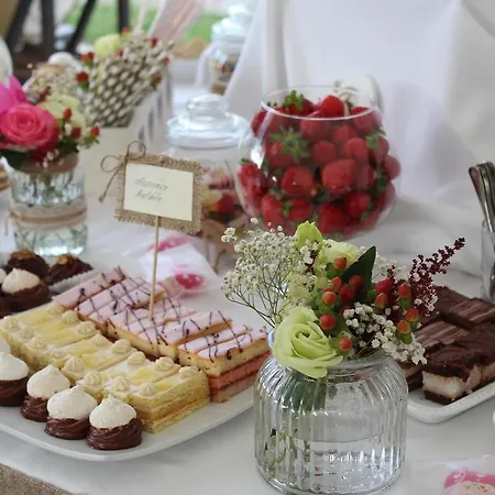 Gasthuis Zlaty Dukat 3*