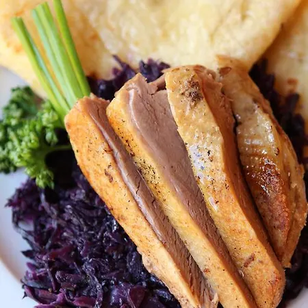 Gasthuis Zlaty Dukat 3*